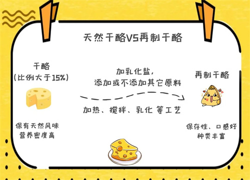 进口干酪通关记
