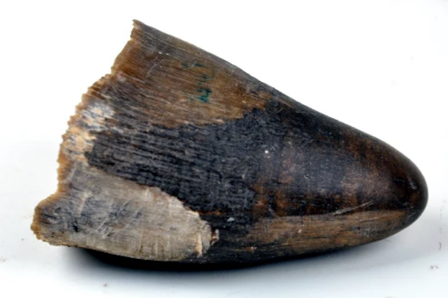 119f9d6dc26b305dc5efa1437de63b7c.png 119f9d6dc26b305dc5efa1437de63b7c.png