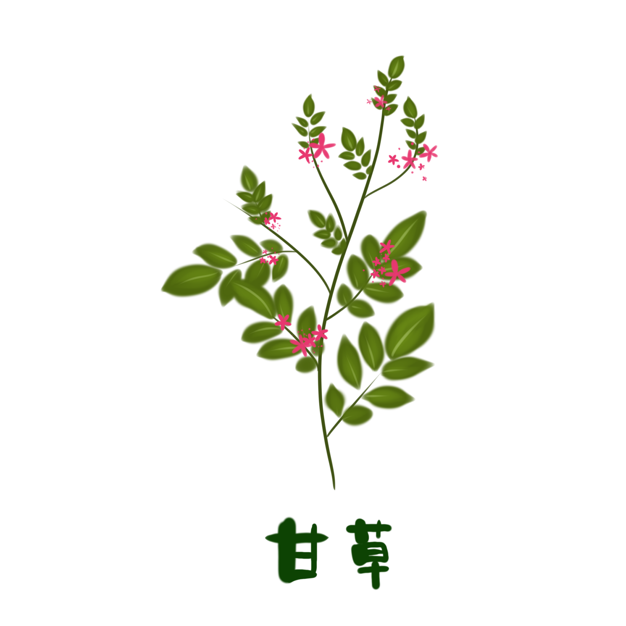 甘草进口报关清关知识