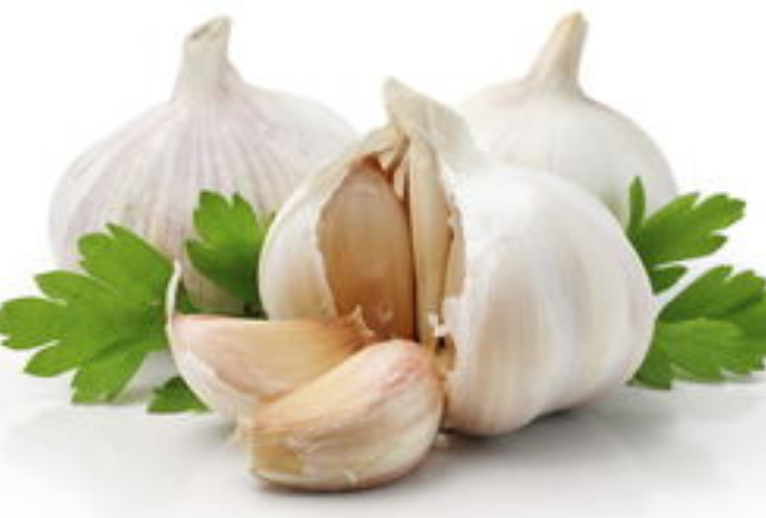 13f4818f98eb4ba46fb8ca4c7be8edb0.png 蒜头.png