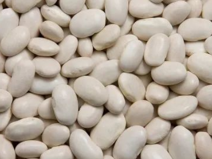 印度白芸豆提取物滘心港码头进口报关清关 印度白芸豆提取物滘心港码头进口报关清关