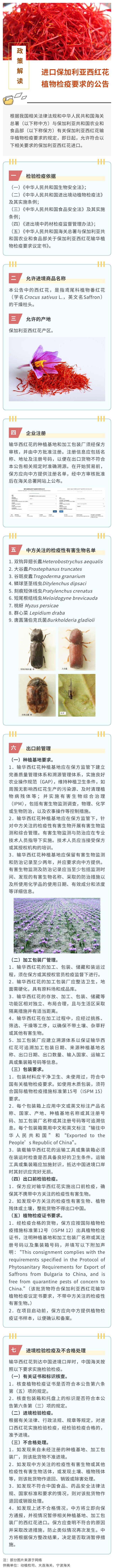 0f732f73abb438b87784d07fd455e2f5.jpg 西红花.jpg