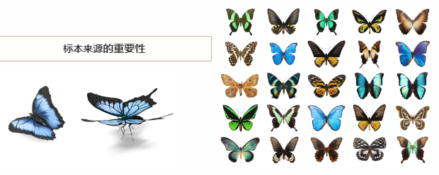 【案例】深圳市中望报关服务有限公司助力企业高效进口蝴蝶标本全记录! 【案例】深圳市中望报关服务有限公司助力企业高效进口蝴蝶标本全记录!