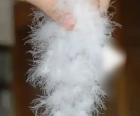 092a4b4d873776919b7ee26b9aac4e81.png 鸭毛.png