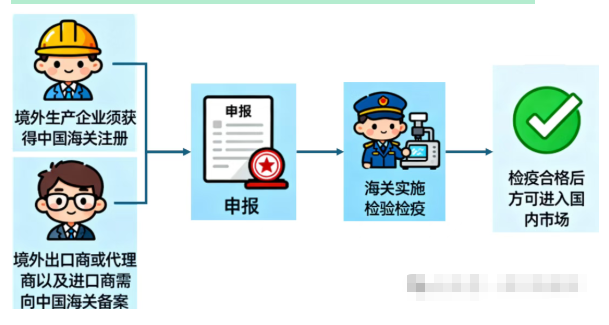 辣椒2.png