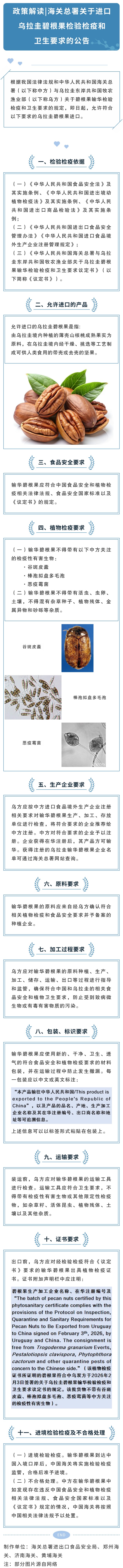 cd13134592ba4a3c6f3bfdefed6ae1df.jpg 乌拉圭碧根果.jpg