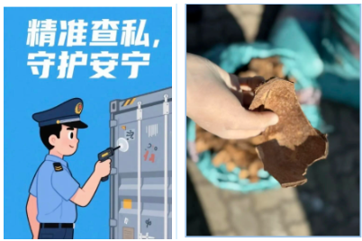 【报关知识】进口椰壳碎核心监管要点 【报关知识】进口椰壳碎核心监管要点