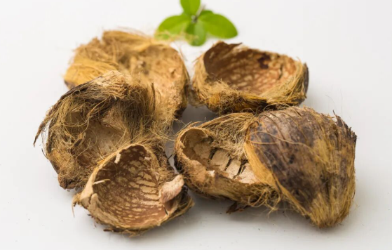 【进口知识】中药材—大腹皮的进口清关流程及所需资料 【进口知识】中药材—大腹皮的进口清关流程及所需资料