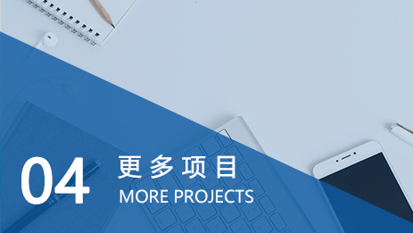 代理进口清关_04 代理进口清关_04