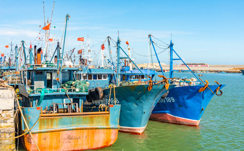 海运jl 海运jl