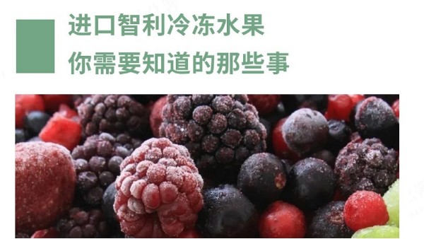 进口智利冷冻水果你需要知道的那些事 进口智利冷冻水果你需要知道的那些事
