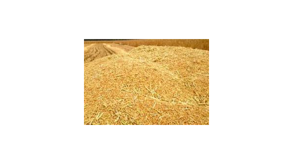 解读 | 关于进口白俄罗斯菜籽粕和豆粕检验检疫要求的公告