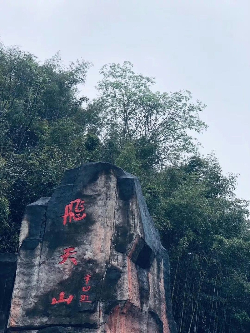 10 10