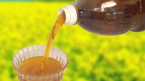 菜籽油进口报关 菜籽油进口报关