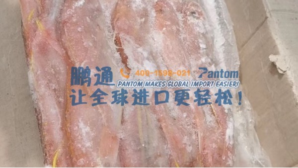 进口食品案例分析|印度尼西亚冻鱼进口清关 进口食品案例分析|印度尼西亚冻鱼进口清关
