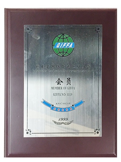 中望-广东国际货运代理协会理事单位
