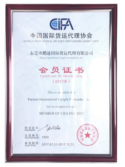 中望-中国国际货运代理协会会员