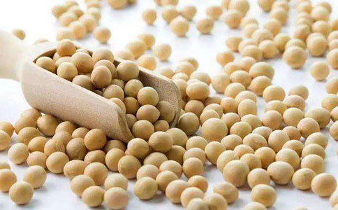 17大豆s 17大豆s