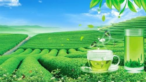 上海茶叶进口报关代理 上海茶叶进口报关代理