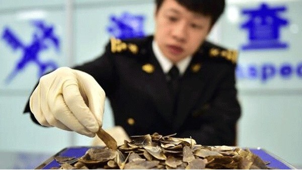 如何规避进口货物被海关扣关风险?东莞中望进口清关公司揭秘 如何规避进口货物被海关扣关风险?东莞中望进口清关公司揭秘