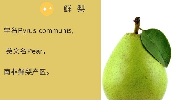 进口南非鲜梨植物检疫要求公告解读 进口南非鲜梨植物检疫要求公告解读