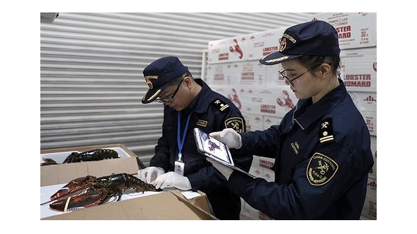 杭州机场海关口岸助力今年首批波士顿龙虾高效通关