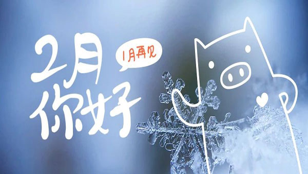2月，这些海关政策快来看！